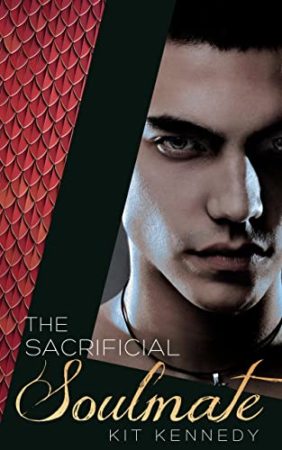 Novella - The Sacrificial Soul Mate Book Cover