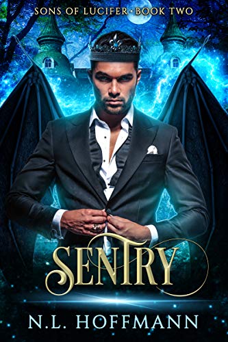 Sentry Book Cover