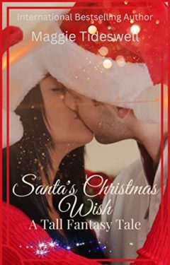 Santa's Christmas Wish Book Cover