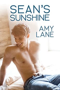 Release Day Review : Sean's Sunshine - Book Cover