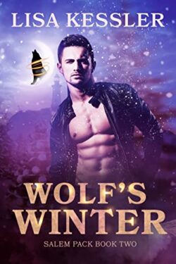 Holiday Story-Wolf's Winter Book Cover