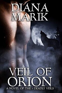 Veil of Orion Book Cover