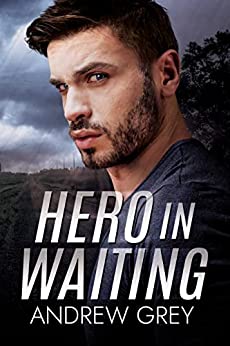 Short Read- Hero in Waiting Book Cover