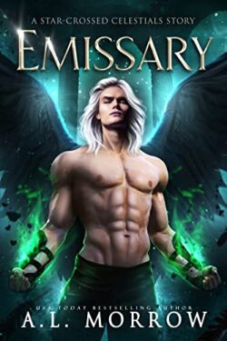 Emissary: An MM Forbidden Romance Book Cover