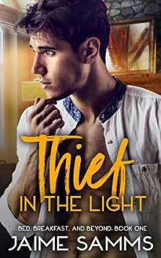 Thief in the Light Book Cover