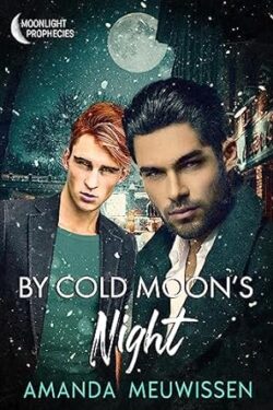 By Cold Moon's Night Book Cover