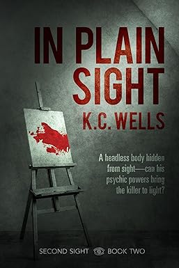 In Plain Sight Book Cover