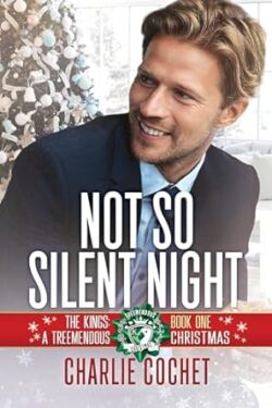 Not So Silent Night Book Cover