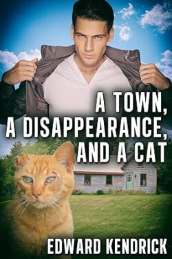 A Town, a Disappearance, and a Cat Book Cover