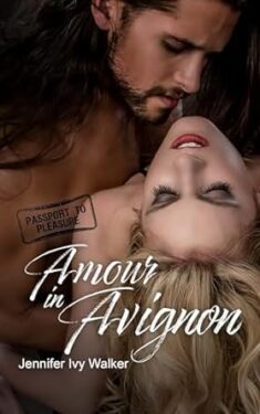 Amour in Avignon Book Cover