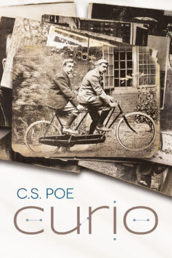 Curio Book Cover