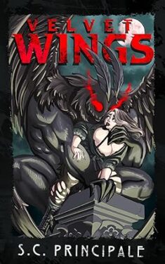Velvet Wings Book Cover