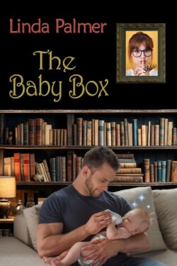 The Baby Box Book Cover